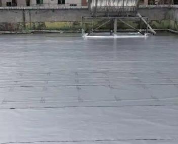 双柏测漏水电话